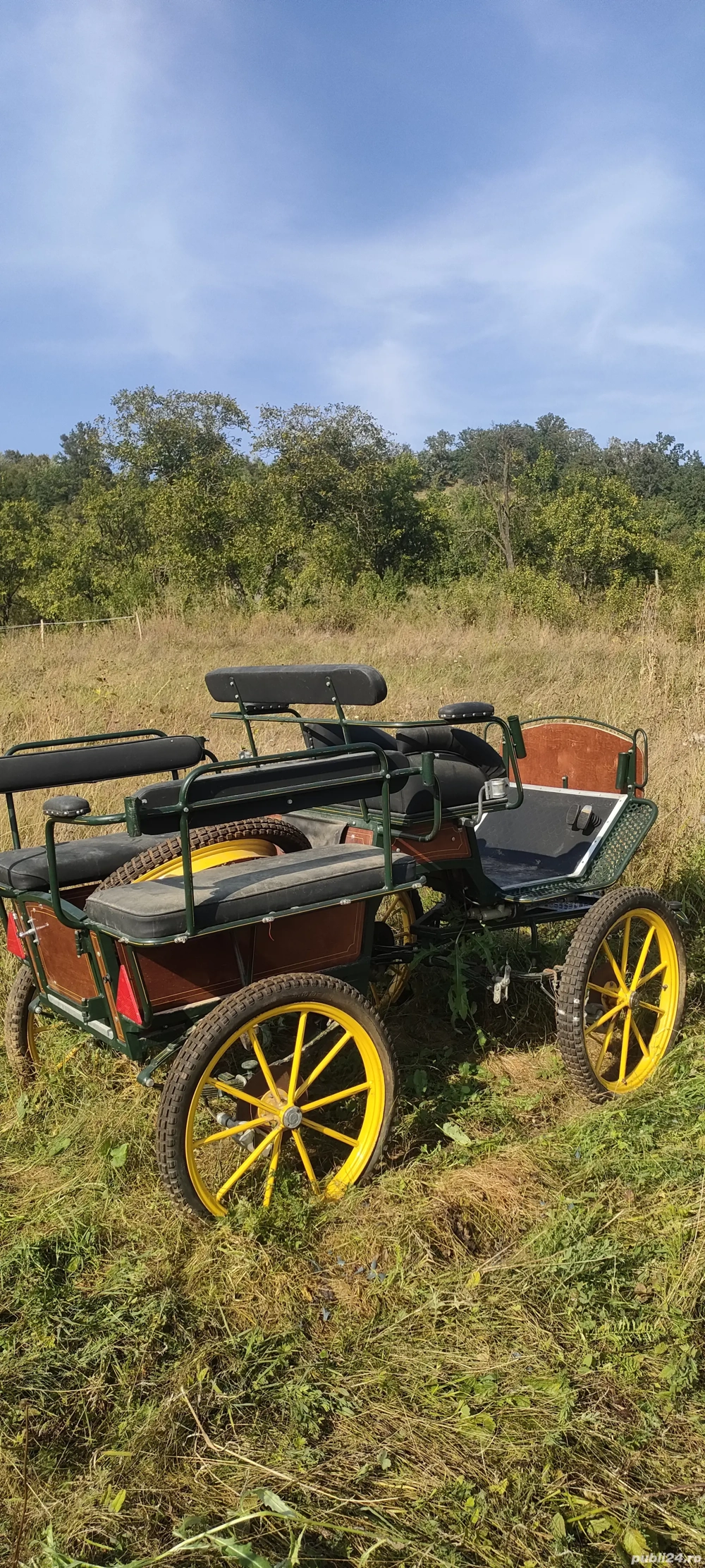 Caleașcă sport trăsură un cal sau doi cai