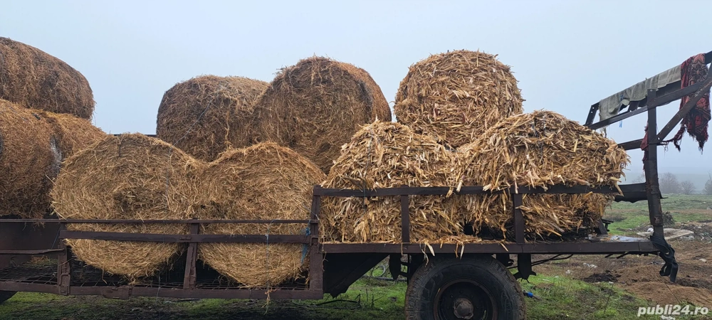 Baloti de coceni și mazăre 
