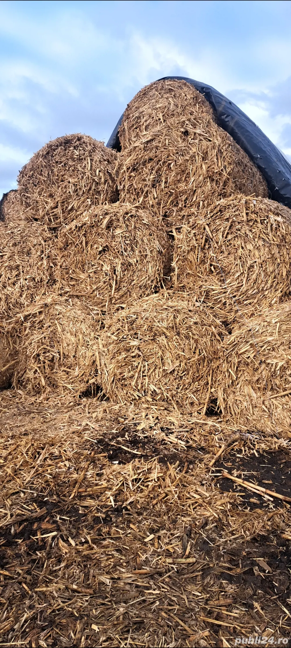 Baloti de coceni și mazăre 