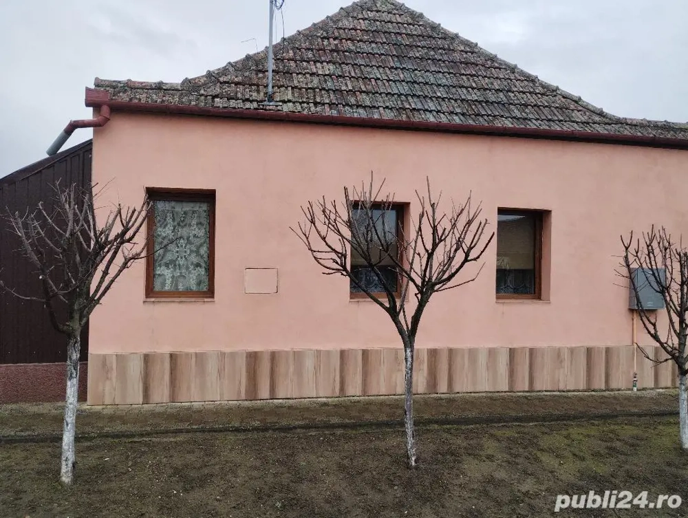 Vand casa in Carani