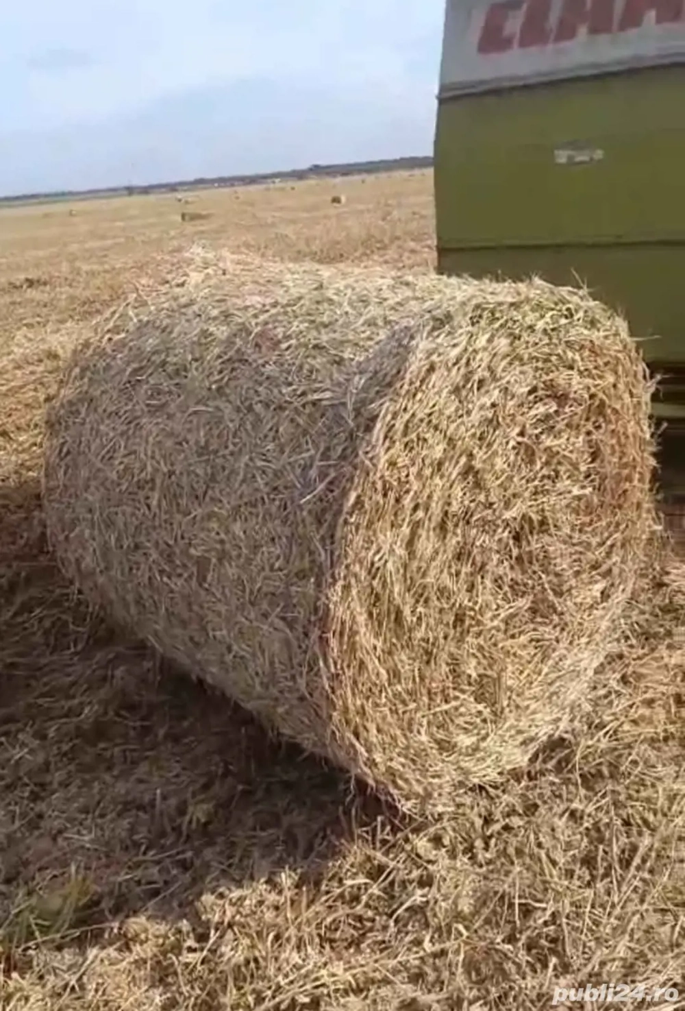 Baloți soia +transport 