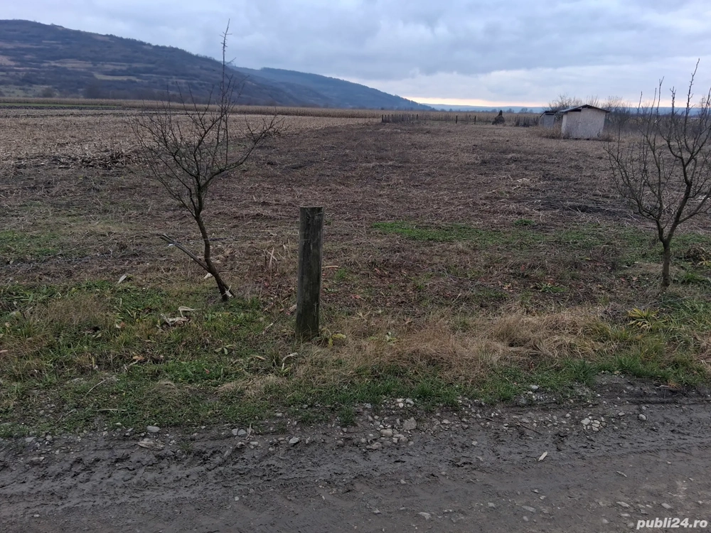 Teren intravilan de vânzare 1.400 mp loc. Livada  com. Iclod