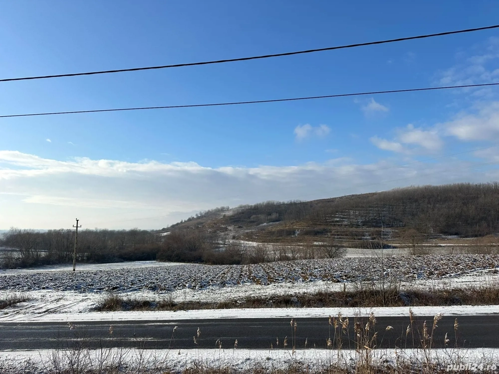 Teren de vânzare 9050 mp intravilan Tileagd, negociabil