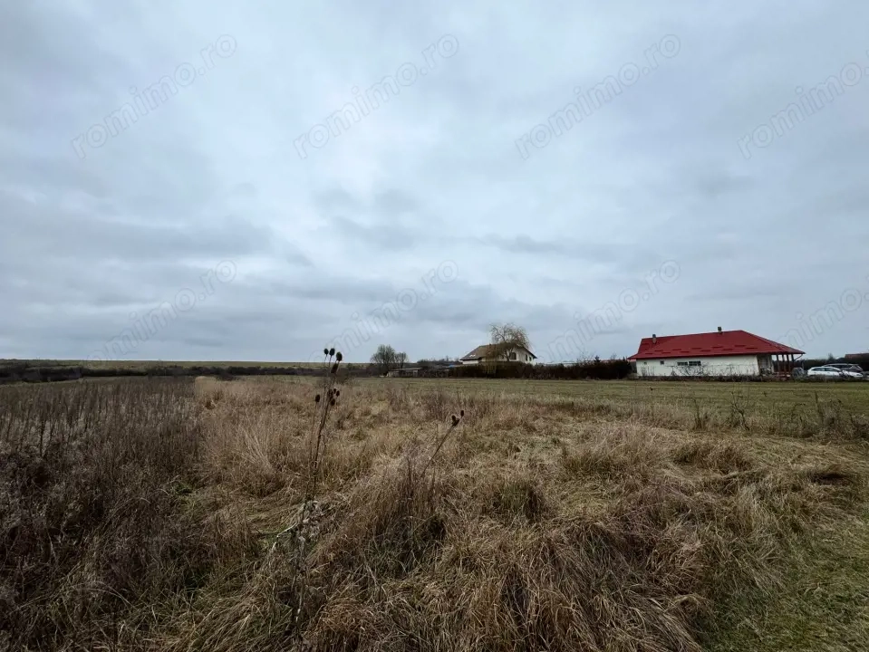 Teren 28 ari, drum principal