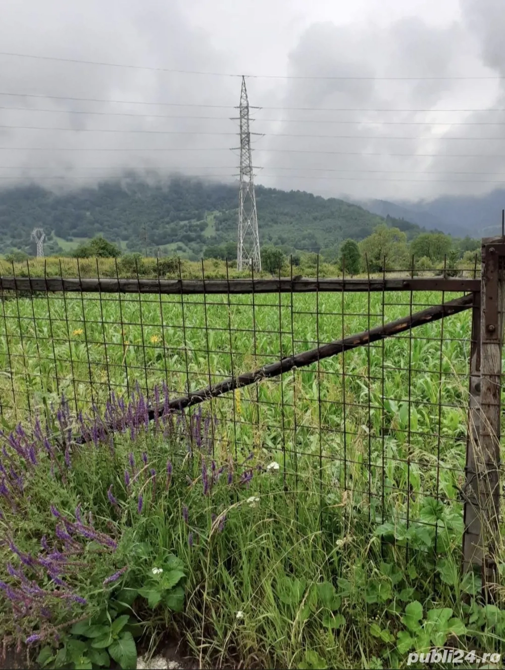 Vând teren intravilan in Stejaru, Pangarati, Neamt - 1706 mp