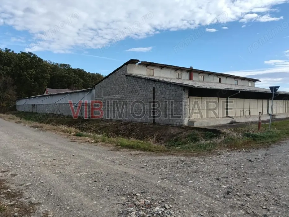 Ferma Agricolă 1.350 Hectare – Grad de Comasare 96–97%, Chișineu Criș, Județul Arad