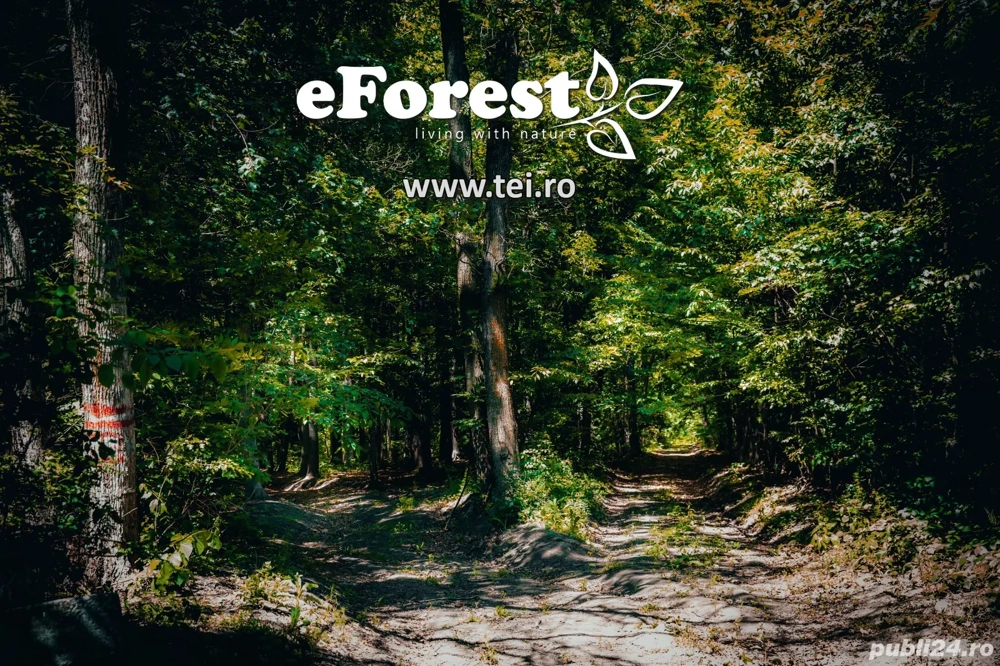  Promoția de Paște a început! Teren acces sosea 760 mp in cartier eForest, langa Academia Titi Aur