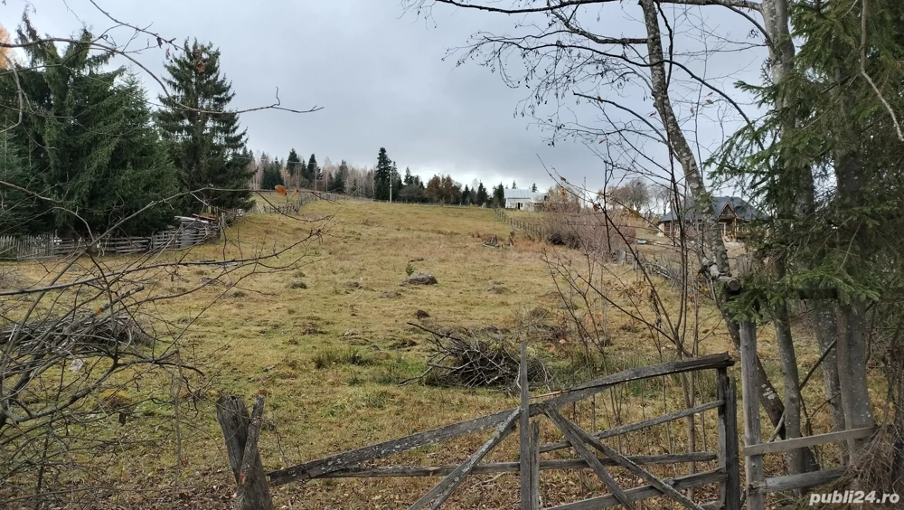 Vând teren intravilan in comuna Panaci, sat Coverca
