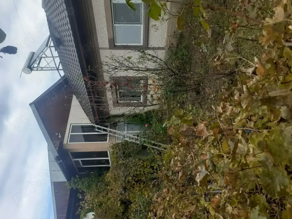 Teren extravilan 52 Ha de vanzare