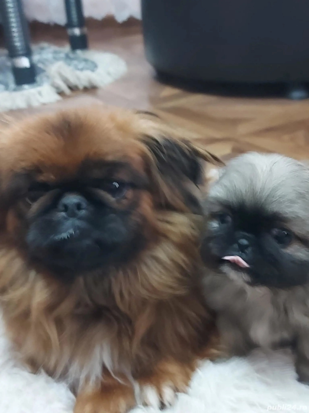 băiețel mic și frumos cu primul vaccin facut si carnet de sănătate