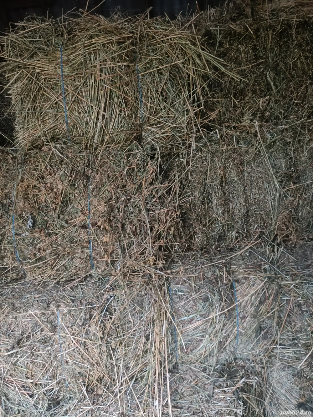 Baloți de lucernă fân și otavă 