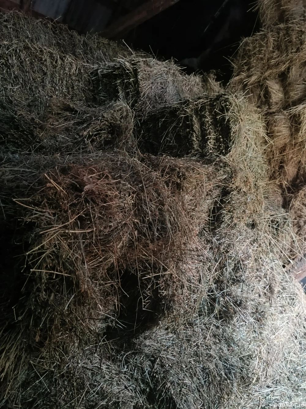 Baloți de fân și otavă de calitate 