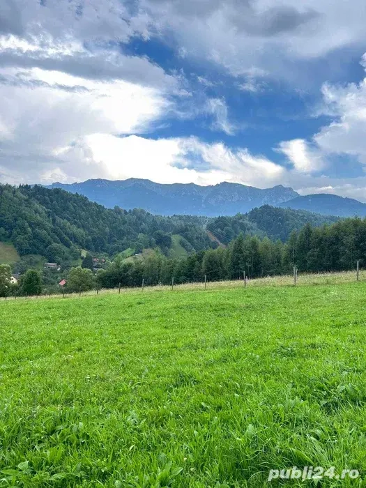 PROPRIETAR - 3274 mp intravilan Simon (BRAN)