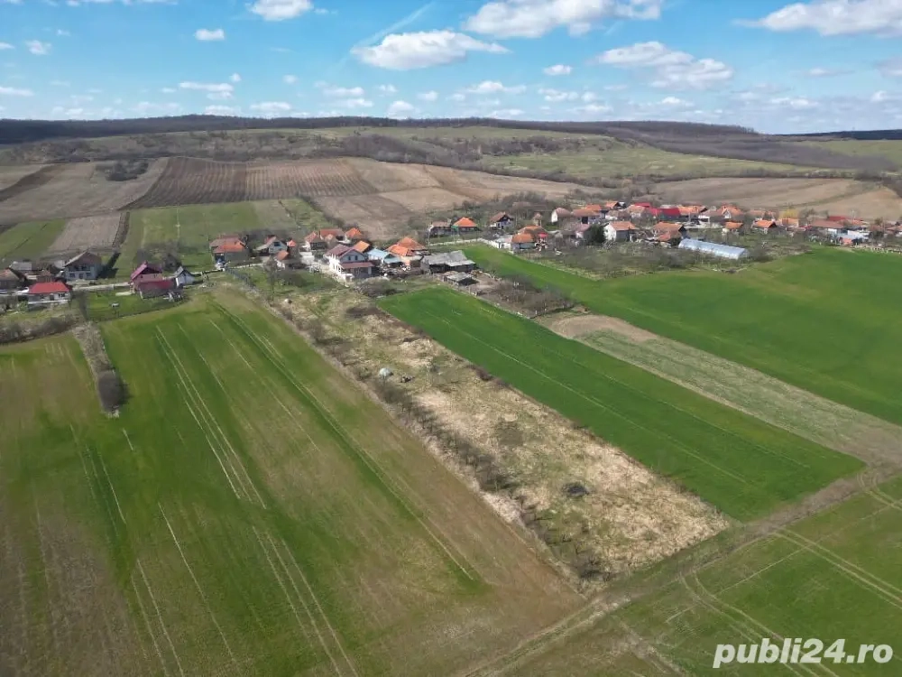 Teren de vanzare Santelec 6000mp