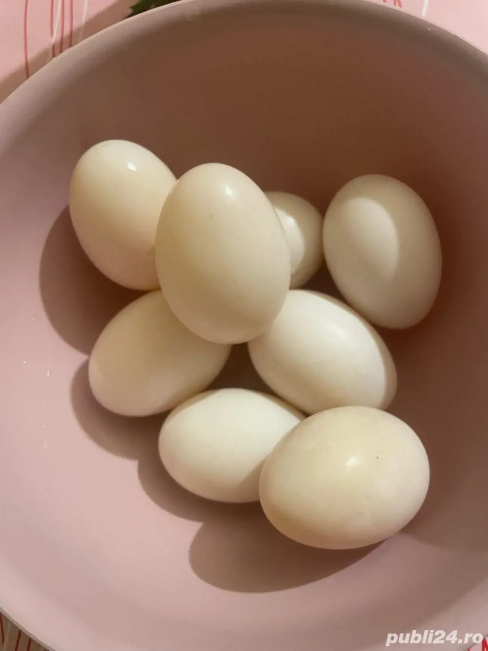 Vând ouă de Rată 1,50 lei 