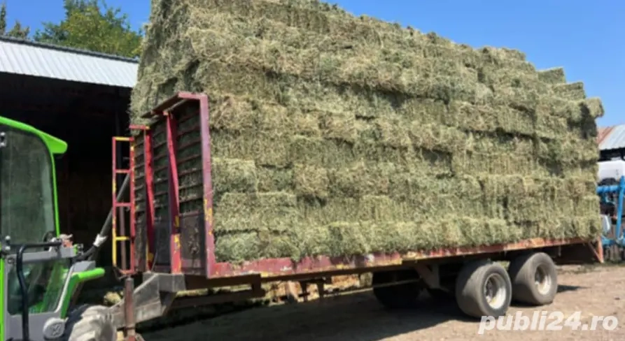 Vând baloți de lucerna si fan