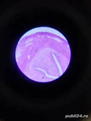 Meditații biologie Bacalaureat 