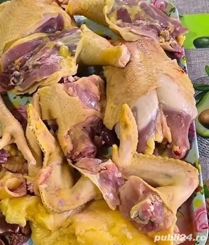 G ini de țară, Cocoși, rate