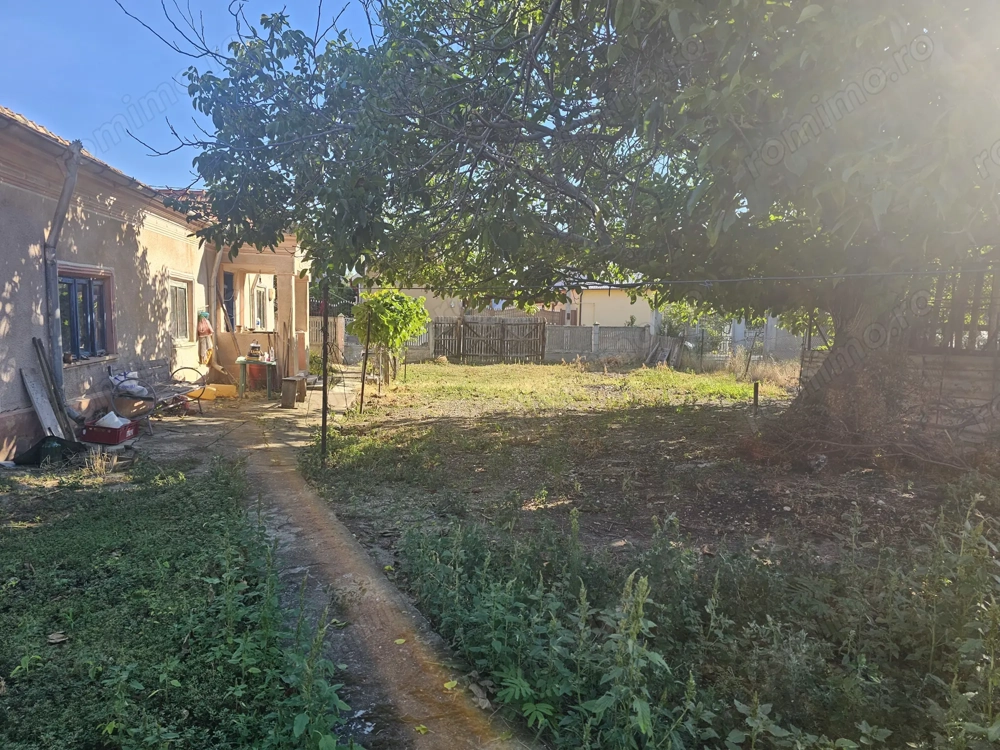 Casa Odaia Turnu Magurele Teleorman 