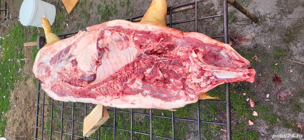 Carcasă de porc 80-90 kg
