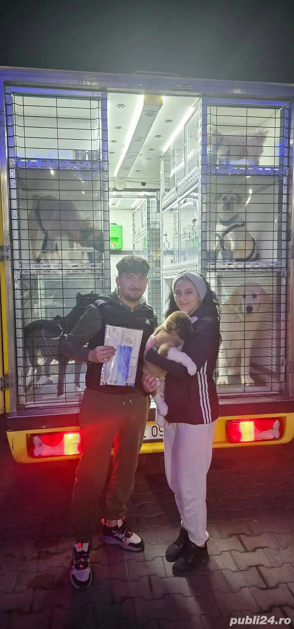 Transport premium animale de companie | România   Europa | Autospeciale Tip 2 | Închirieri