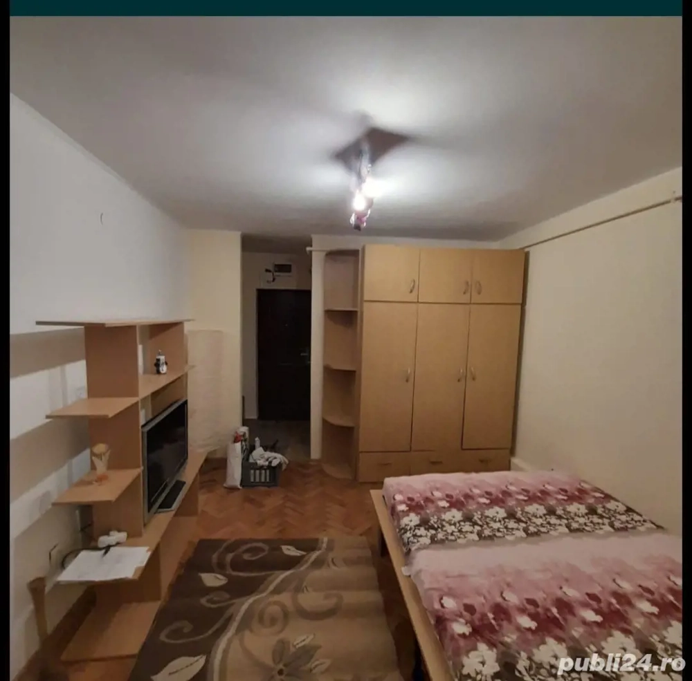 Garsoniera Ostrovului parter