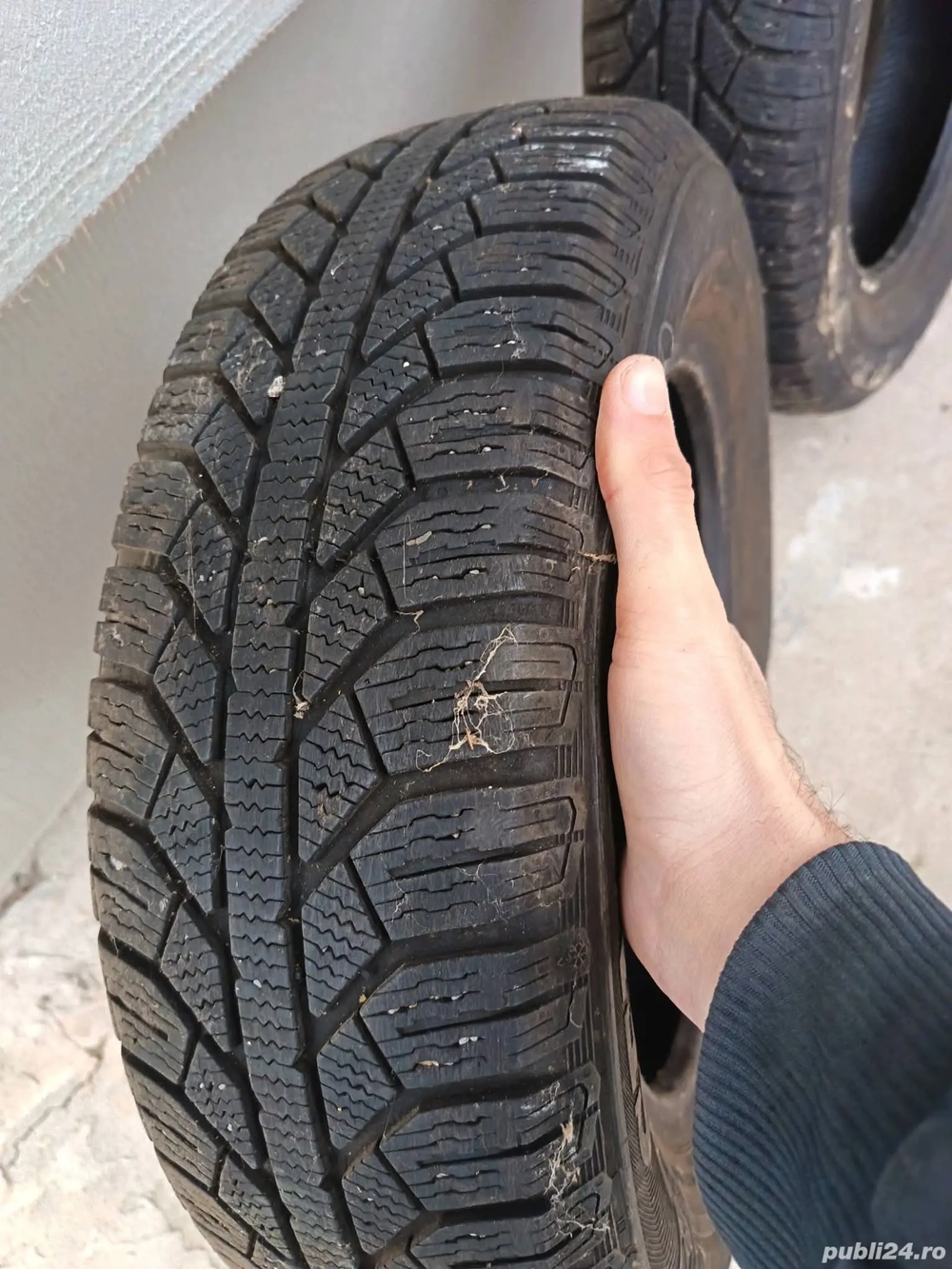 genti de tabla astept oferte schimb cu pasari 