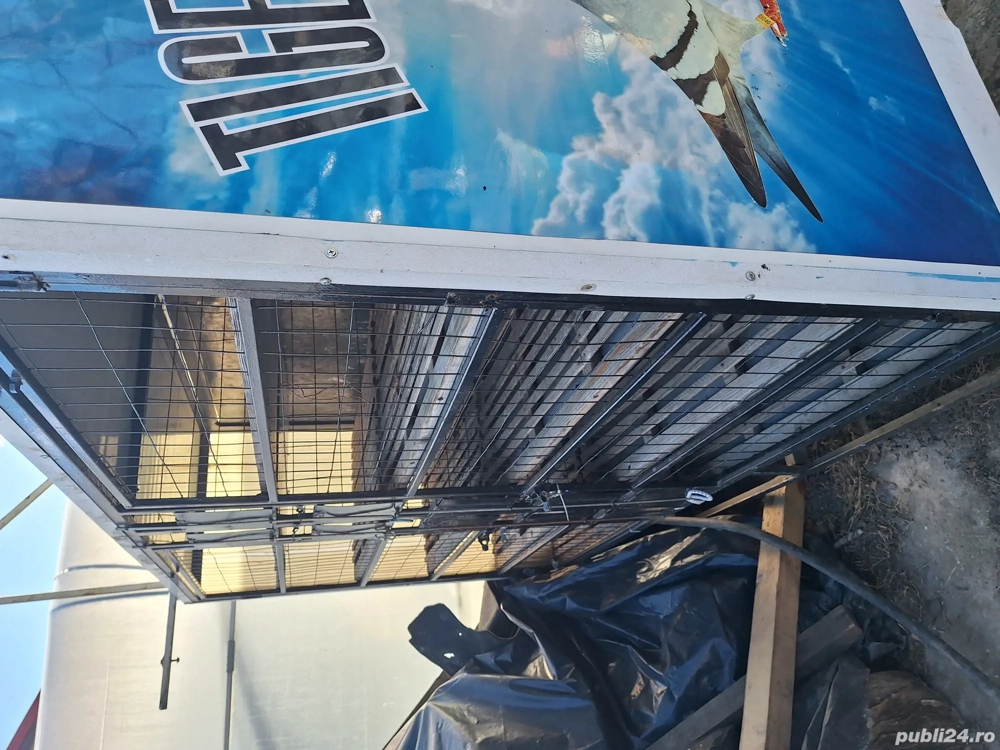 Vând container transport porumbei