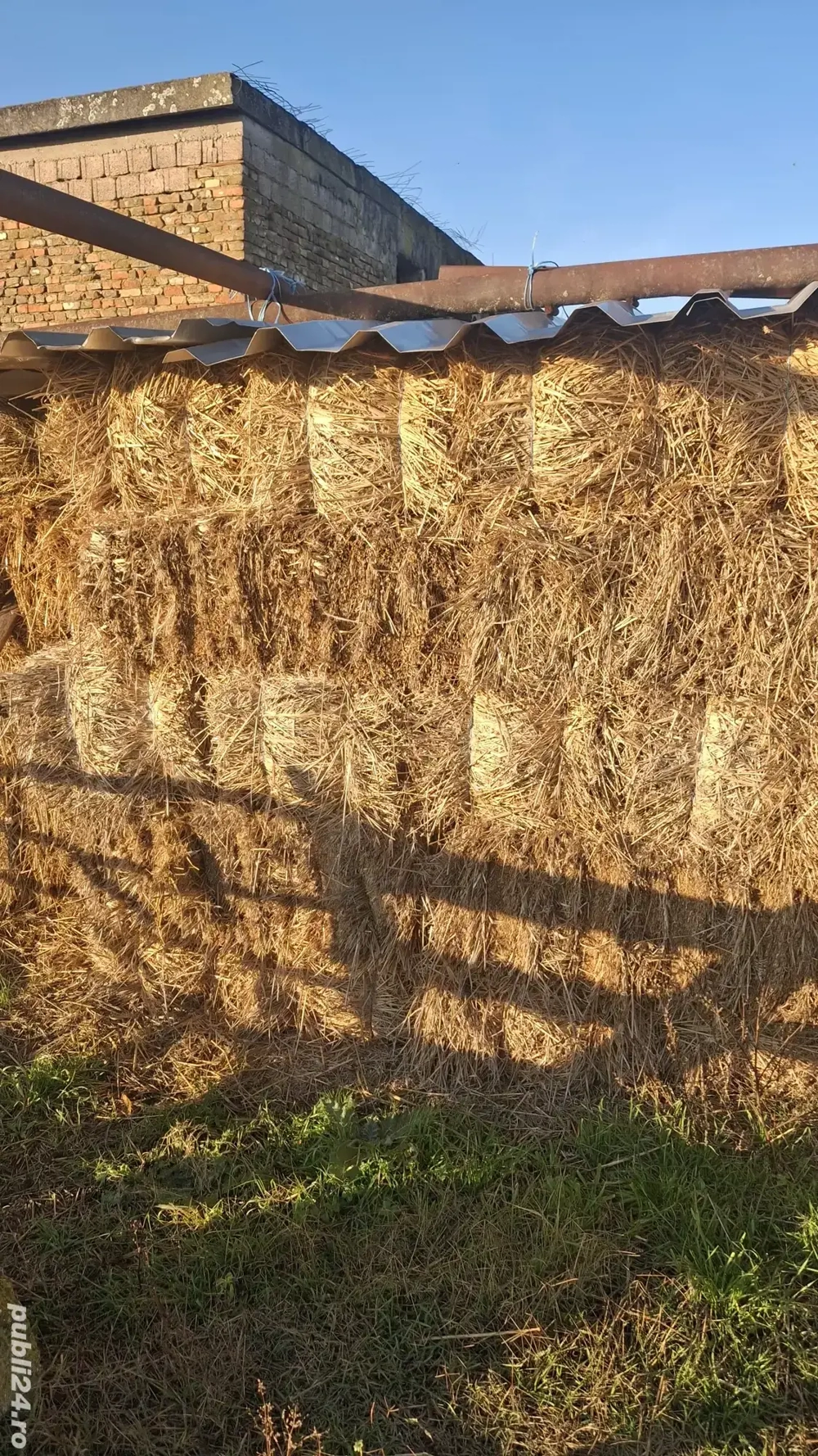 Vând baloti de paie 