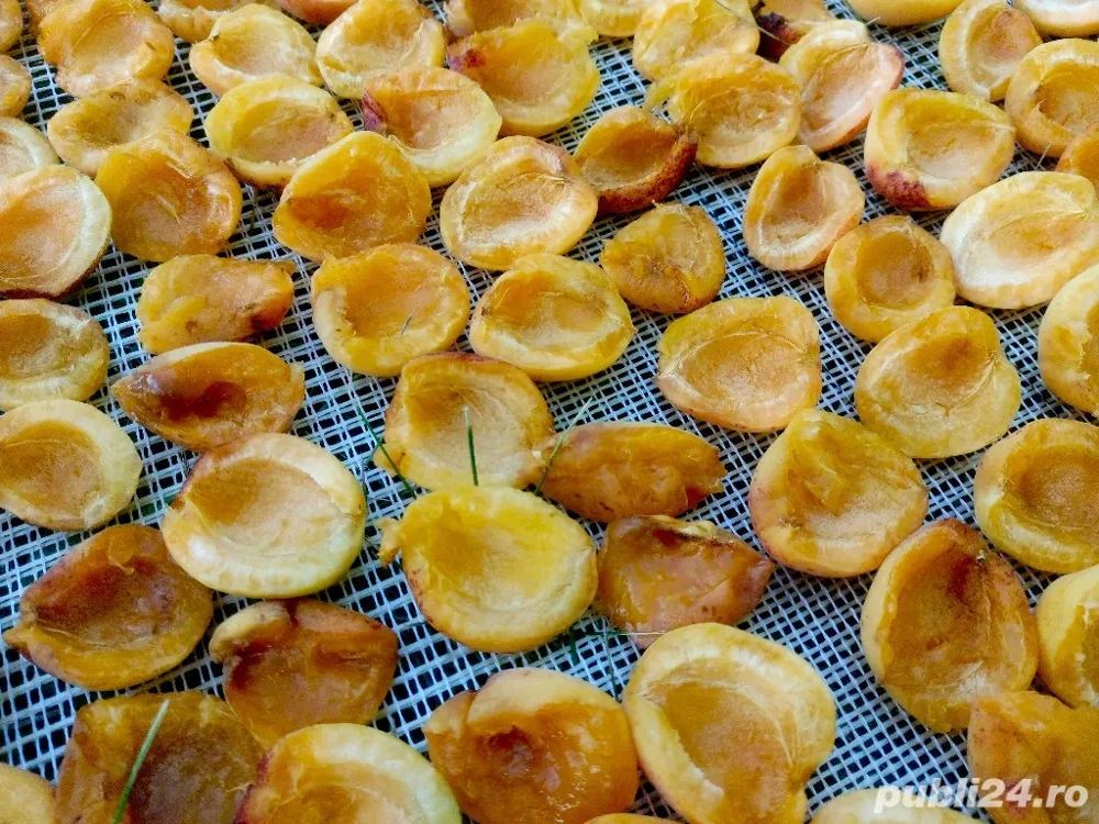 Fructe Uscate   100% NATURALE