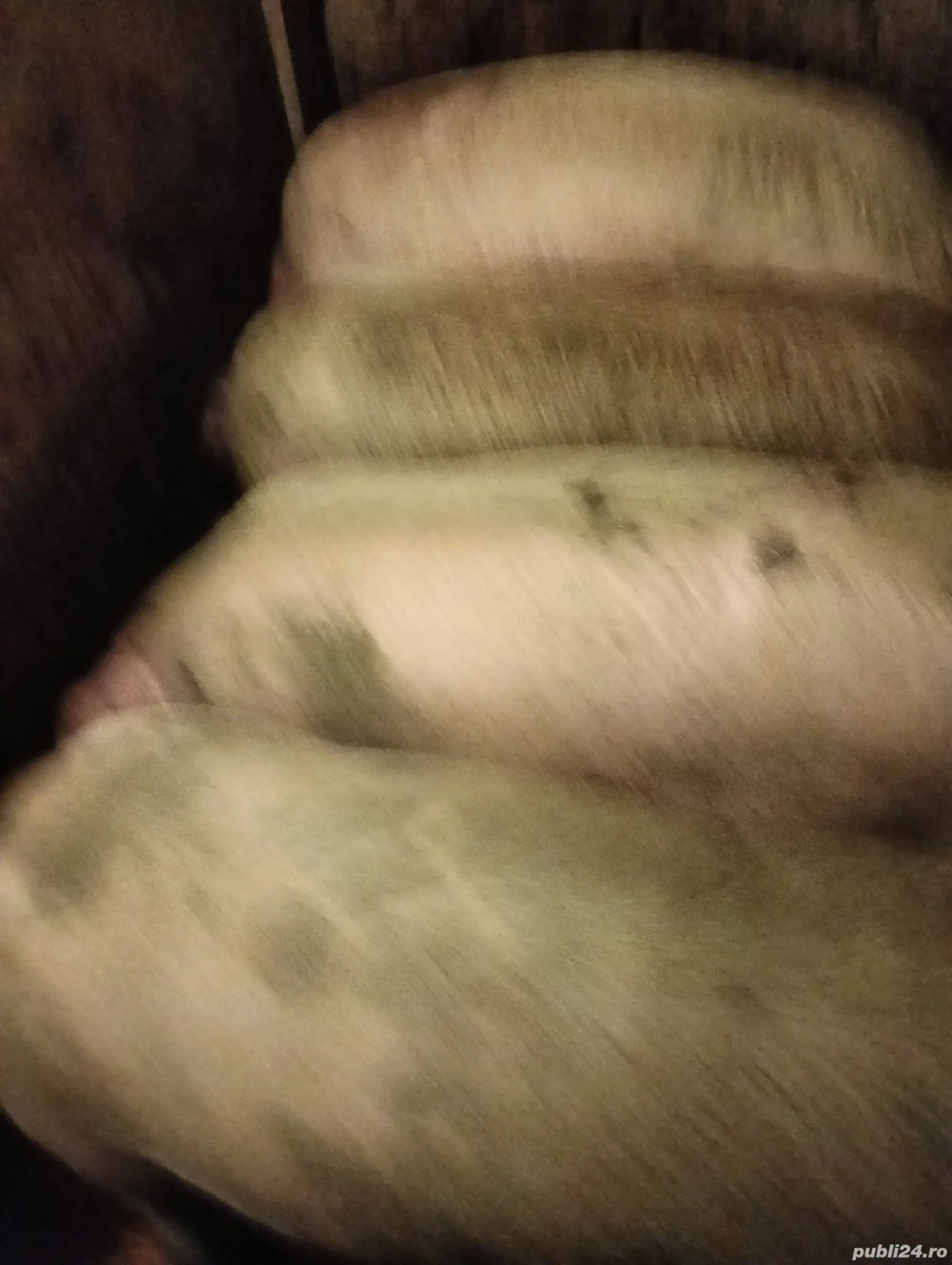 De consum foarte frumosi