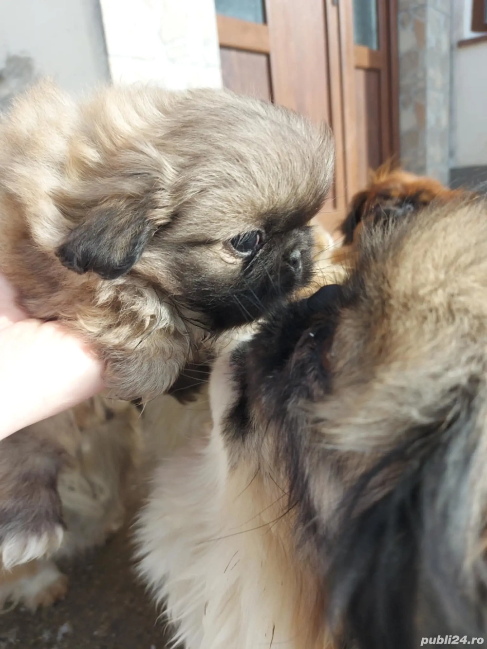 Băiat , deparazitat cu primul vaccin făcut si carnet de sănătate