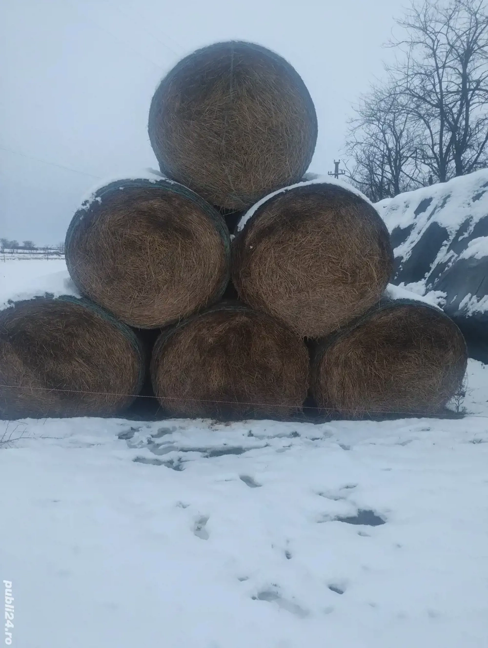 Vând sau schimb baloți de paie 