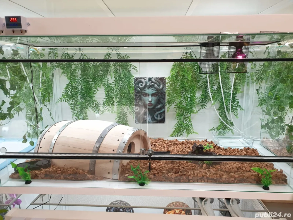 Terariu 120x60x60 cm