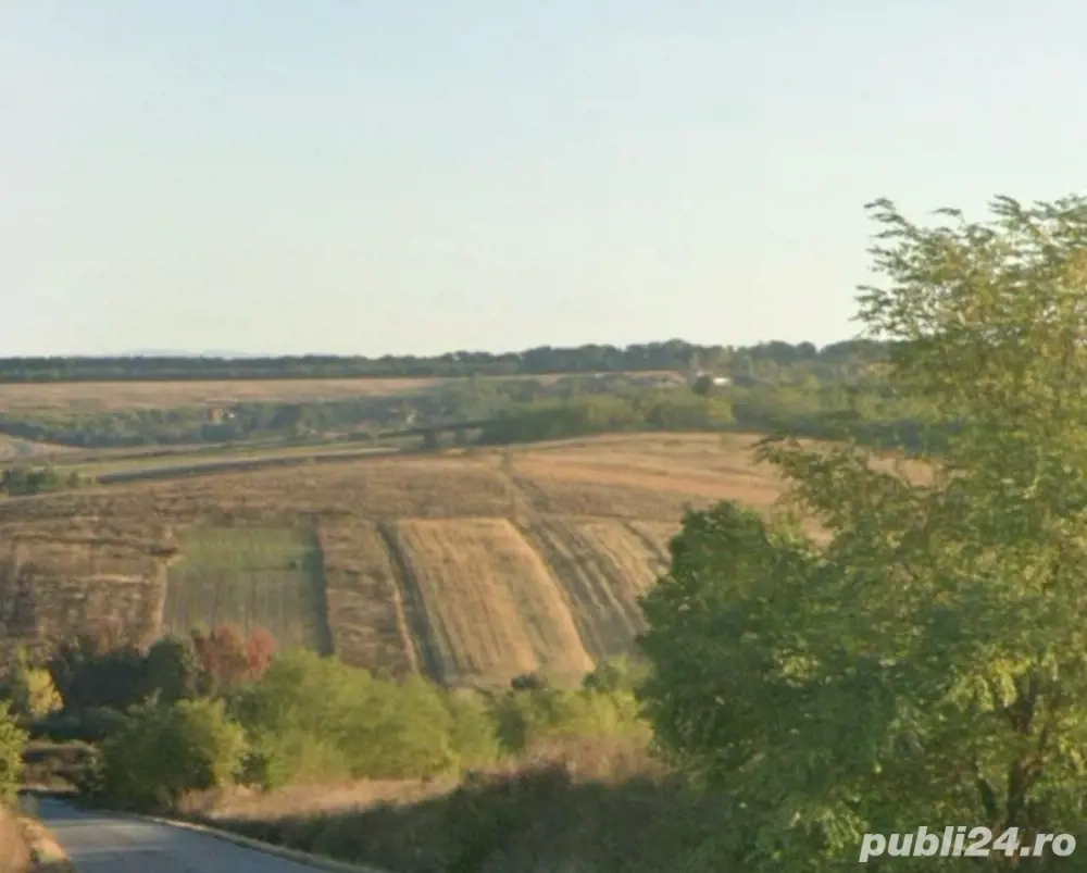 Teren agricol judet Timis