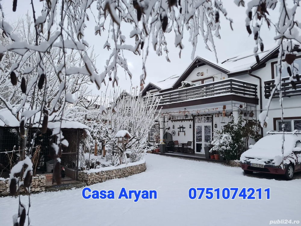 Cazare Casa Aryan   
