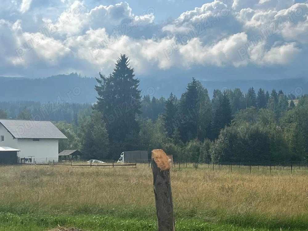 Teren intravilan 2000 mp în Neagra Șarului   zonă liniștită, superbă