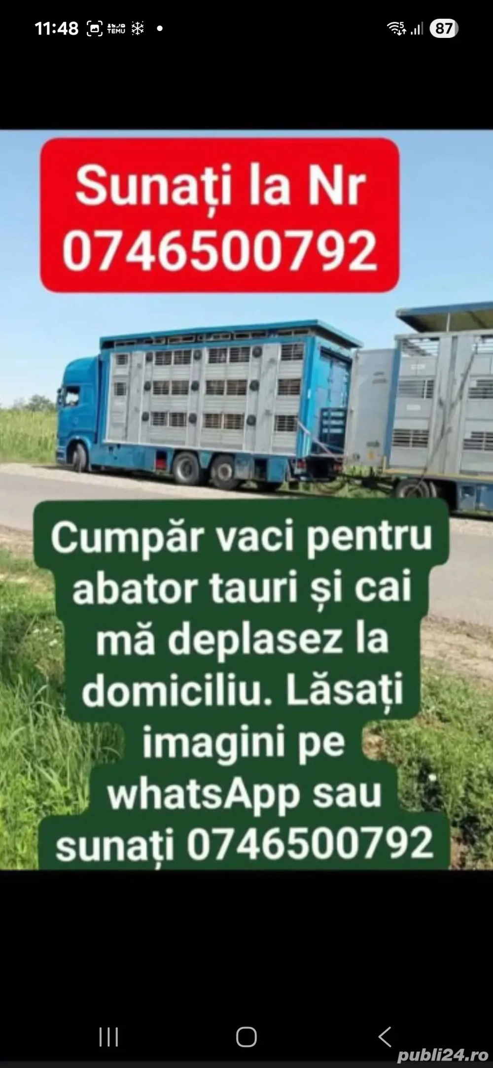 cumpar vaci pentru abator