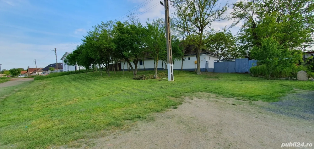 Casă bătrânească Ortisoara 