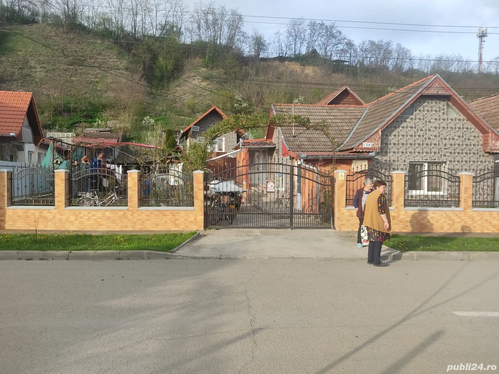 casă de vînzare viișoara judetul Cluj 