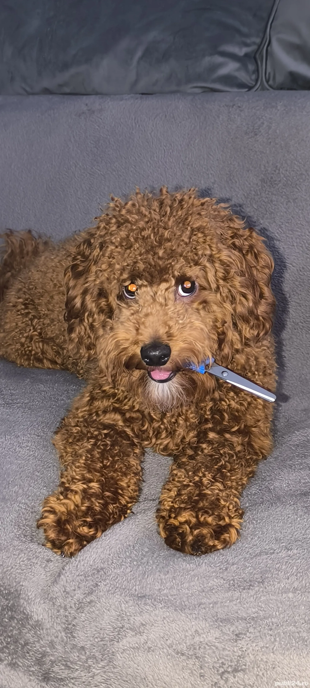 Bună! Eu sunt viitorul tău cel mai bun prieten și te-am așteptat exact un an! 