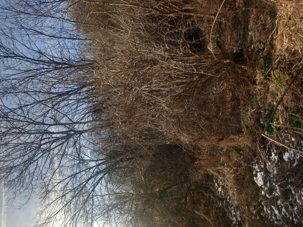 Teren de casa în Prahova 