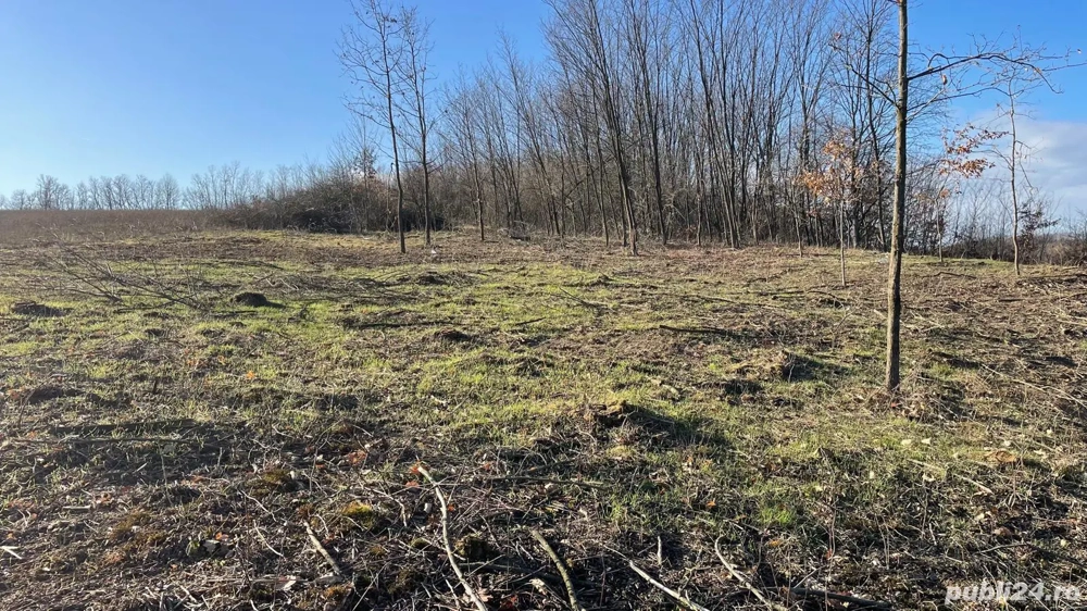 Ocazie deosebita cu multe oportunitati ! Teren intravilan cu o suprafata de 7528 m2