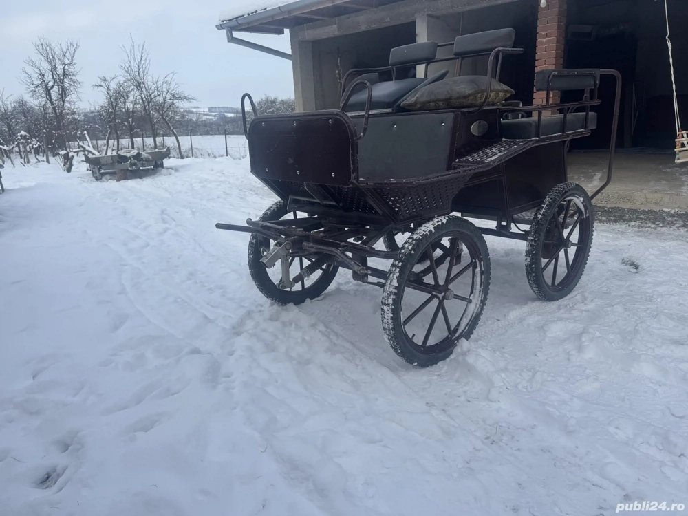 Vand trasura maraton 