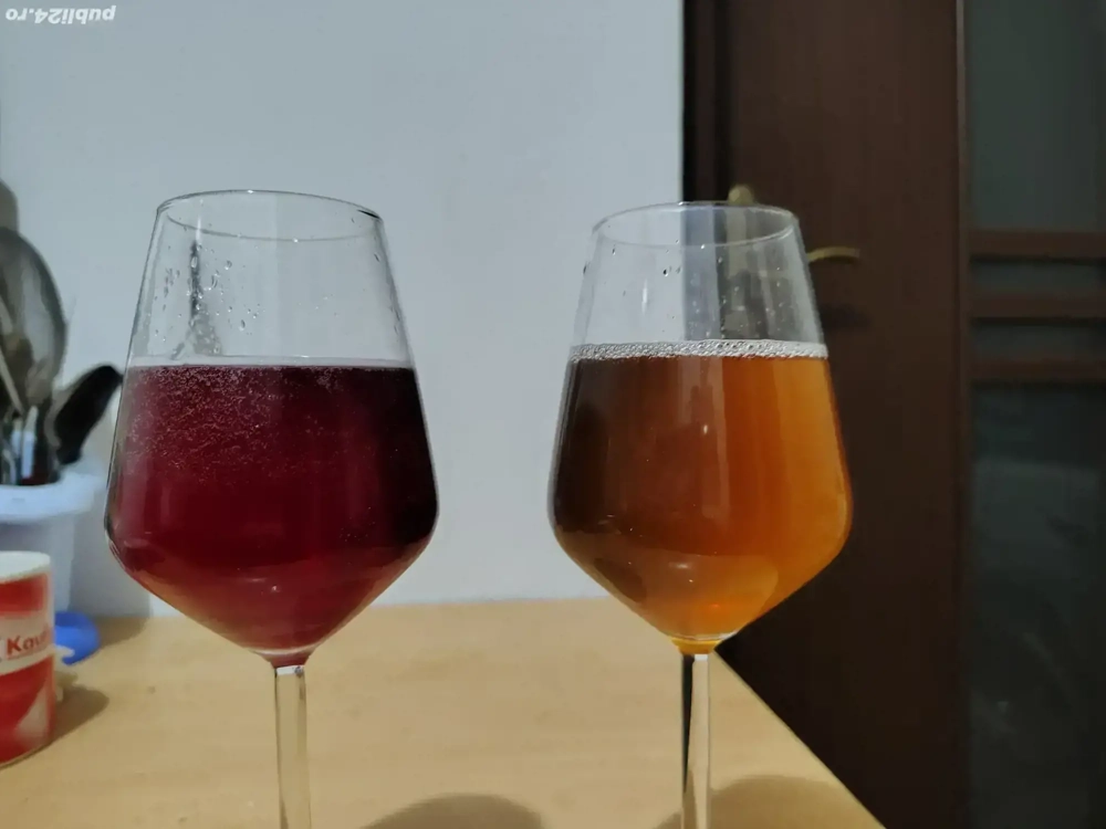 Vând vin din producție proprie,anul 2025