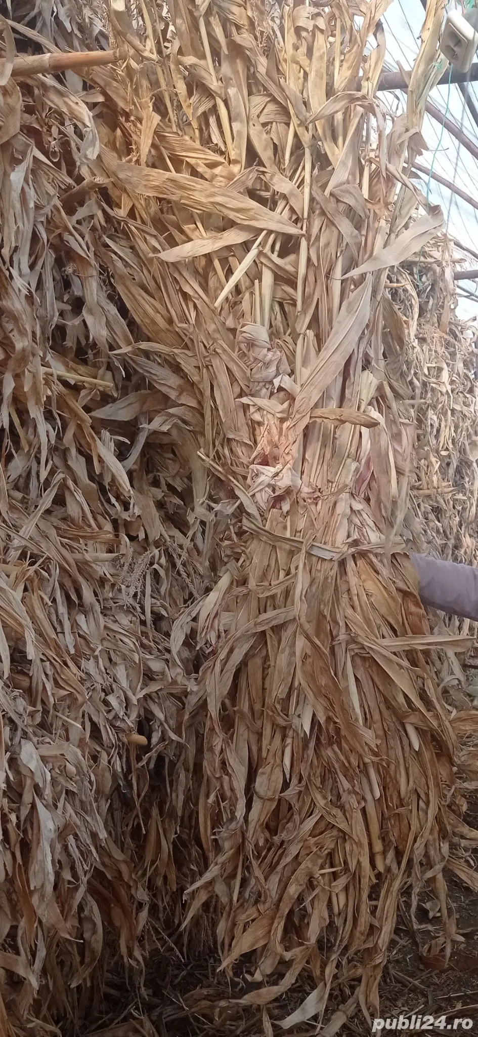 nutreti pentru animale 