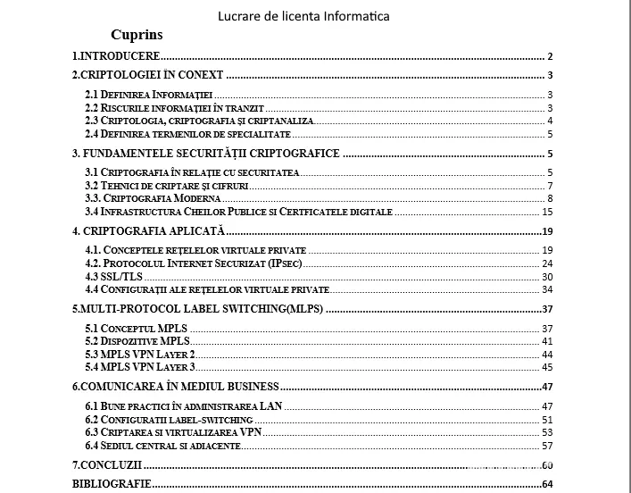 Licenta Informatica
