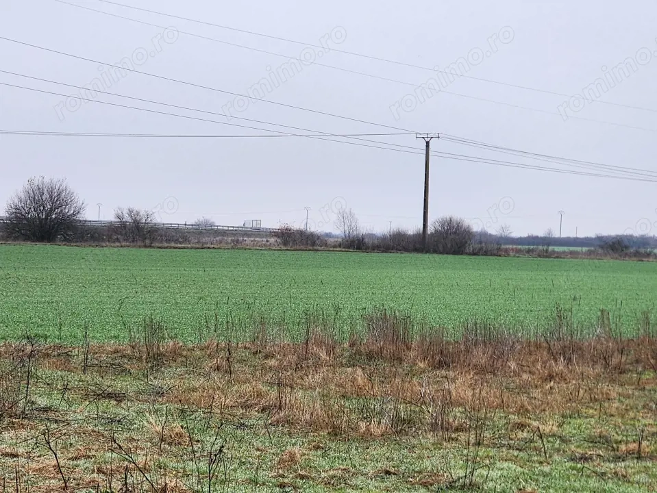 Vand teren agricol extravilan în Giroc 