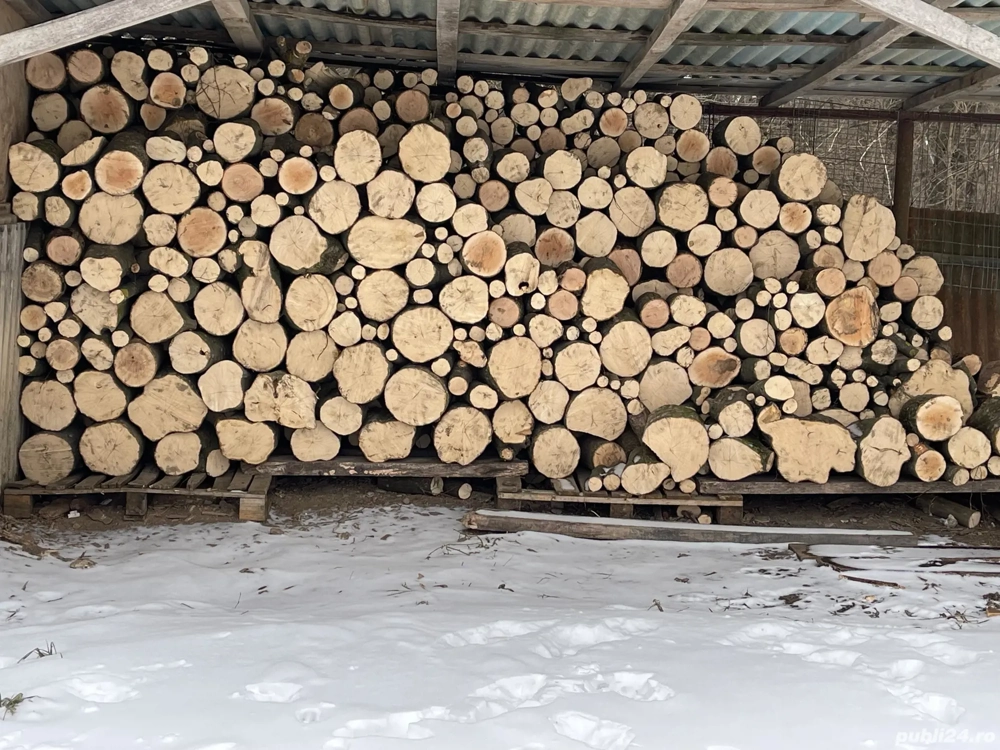 Depozit lemn de foc verde sau uscat in  Baisa, Botosani