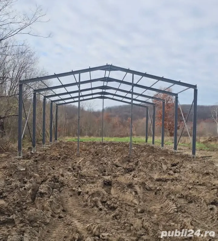 Hala structura metalica